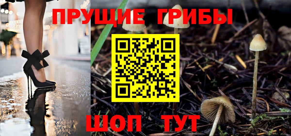 Галлюциногенные грибы Cubensis Кинель