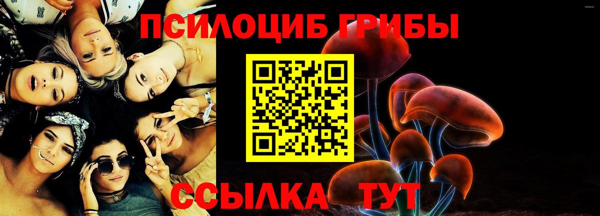 Кинель  Галлюциногенные грибы MAGIC MUSHROOMS  Вход с VPN 